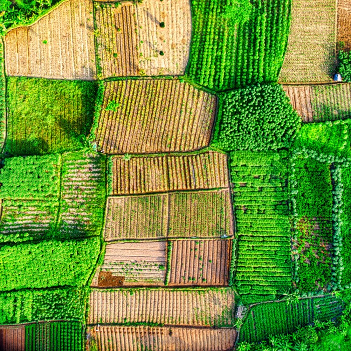 Agriculture